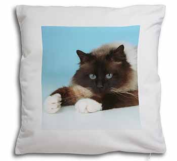 Beautiful Birman Cat Soft White Velvet Feel Scatter Cushion