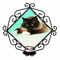 Beautiful Birman Cat Wrought Iron Wall Art Candle Holder