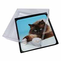 4x Beautiful Birman Cat Picture Table Coasters Set in Gift Box