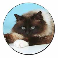 Beautiful Birman Cat Fridge Magnet Printed Full Colour