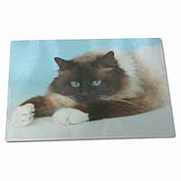 Large Glass Cutting Chopping Board Beautiful Birman Cat