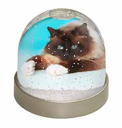 Beautiful Birman Cat Snow Globe Photo Waterball