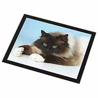 Beautiful Birman Cat Black Rim High Quality Glass Placemat