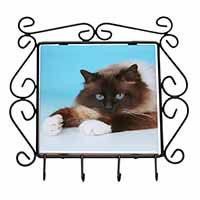 Beautiful Birman Cat Wrought Iron Key Holder Hooks