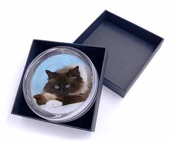 Beautiful Birman Cat Glass Paperweight in Gift Box