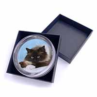 Beautiful Birman Cat Glass Paperweight in Gift Box