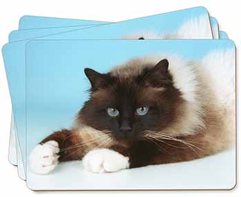 Beautiful Birman Cat Picture Placemats in Gift Box