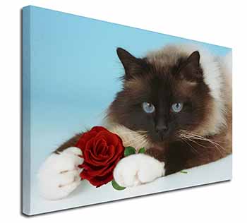 Birman Point Cat with Red Rose Canvas X-Large 30"x20" Wall Art Print