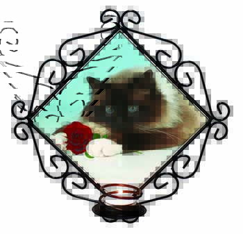 Birman Point Cat with Red Rose Wrought Iron Wall Art Candle Holder