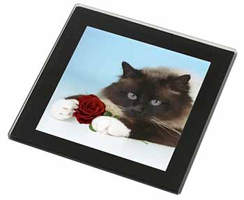 Birman Point Cat with Red Rose Black Rim High Quality Glass Coaster