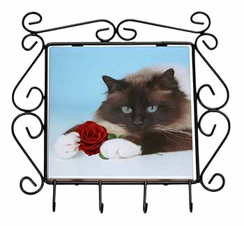 Birman Point Cat with Red Rose Wrought Iron Key Holder Hooks