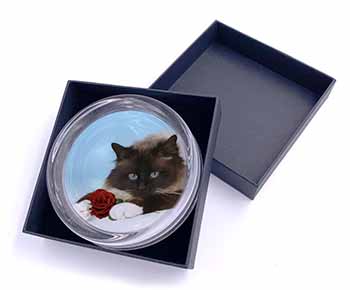 Birman Point Cat with Red Rose Glass Paperweight in Gift Box