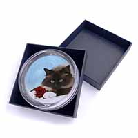 Birman Point Cat with Red Rose Glass Paperweight in Gift Box