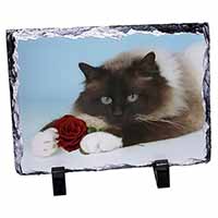 Birman Point Cat with Red Rose, Stunning Photo Slate