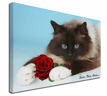 Birman+Rose 