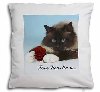 Birman+Rose 