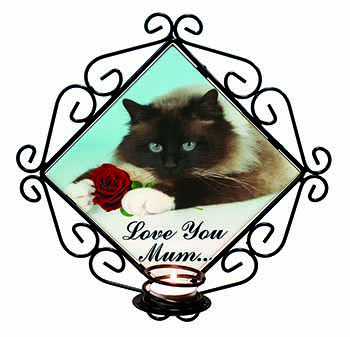 Birman+Rose 