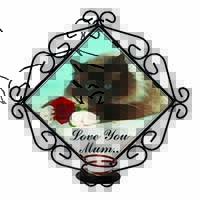 Birman+Rose 
