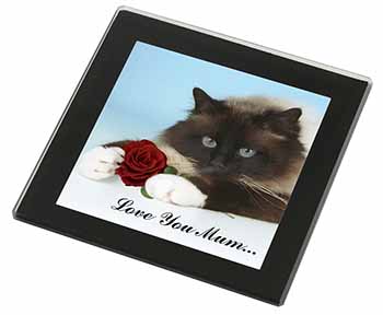 Birman+Rose 