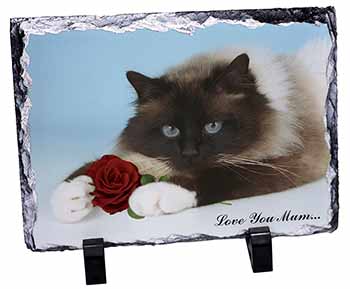 Birman+Rose 