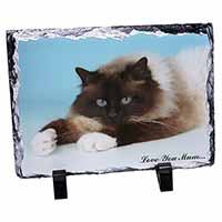 Beautiful Birman Cat 