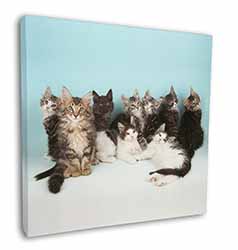 Cute Norwegian Forest Kittens Square Canvas 12"x12" Wall Art Picture Print