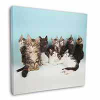 Cute Norwegian Forest Kittens Square Canvas 12"x12" Wall Art Picture Print