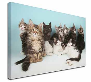 Cute Norwegian Forest Kittens Canvas X-Large 30"x20" Wall Art Print