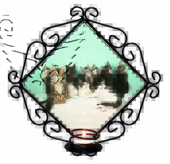 Cute Norwegian Forest Kittens Wrought Iron Wall Art Candle Holder