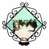 Cute Norwegian Forest Kittens Wrought Iron Wall Art Candle Holder