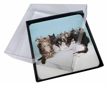 4x Cute Norwegian Forest Kittens Picture Table Coasters Set in Gift Box