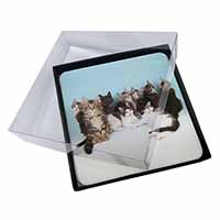 4x Cute Norwegian Forest Kittens Picture Table Coasters Set in Gift Box
