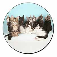 Cute Norwegian Forest Kittens Fridge Magnet Printed Full Colour