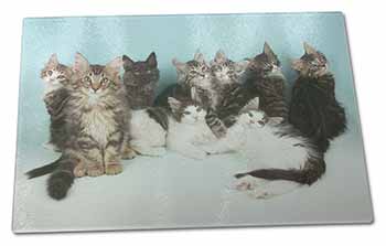 Large Glass Cutting Chopping Board Cute Norwegian Forest Kittens