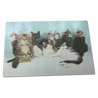 Large Glass Cutting Chopping Board Cute Norwegian Forest Kittens