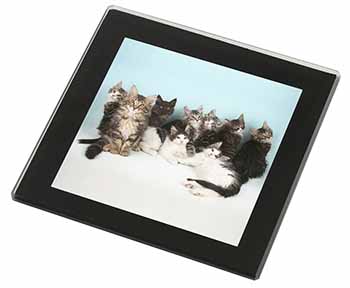 Cute Norwegian Forest Kittens Black Rim High Quality Glass Coaster
