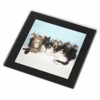 Cute Norwegian Forest Kittens Black Rim High Quality Glass Coaster