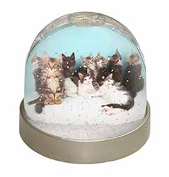 Cute Norwegian Forest Kittens Snow Globe Photo Waterball