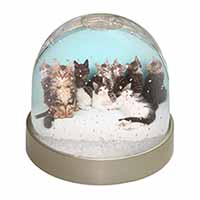 Cute Norwegian Forest Kittens Snow Globe Photo Waterball