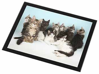 Cute Norwegian Forest Kittens Black Rim High Quality Glass Placemat