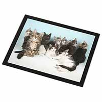 Cute Norwegian Forest Kittens Black Rim High Quality Glass Placemat