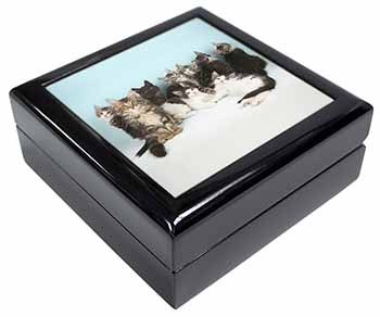 Cute Norwegian Forest Kittens Keepsake/Jewellery Box