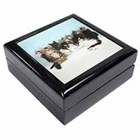 Cute Norwegian Forest Kittens Keepsake/Jewellery Box