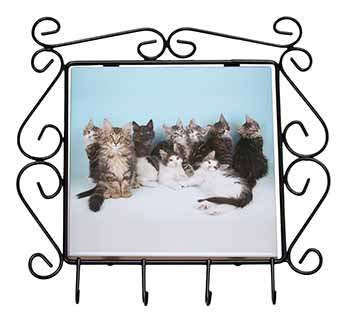 Cute Norwegian Forest Kittens Wrought Iron Key Holder Hooks