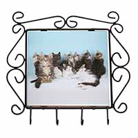 Cute Norwegian Forest Kittens Wrought Iron Key Holder Hooks