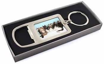 Cute Norwegian Forest Kittens Chrome Metal Bottle Opener Keyring in Box