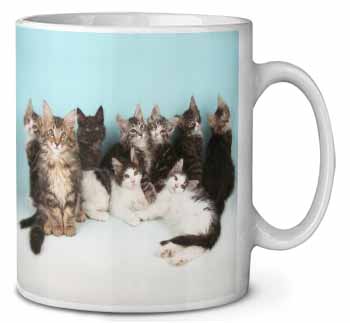 Cute Norwegian Forest Kittens Ceramic 10oz Coffee Mug/Tea Cup