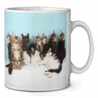 Cute Norwegian Forest Kittens Ceramic 10oz Coffee Mug/Tea Cup