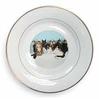 Cute Norwegian Forest Kittens Gold Rim Plate Printed Full Colour in Gift Box