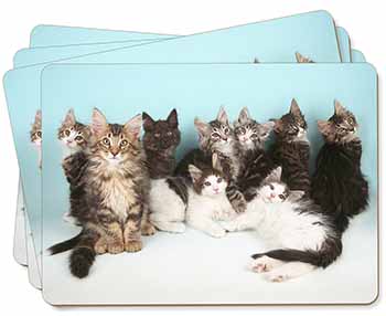 Cute Norwegian Forest Kittens Picture Placemats in Gift Box